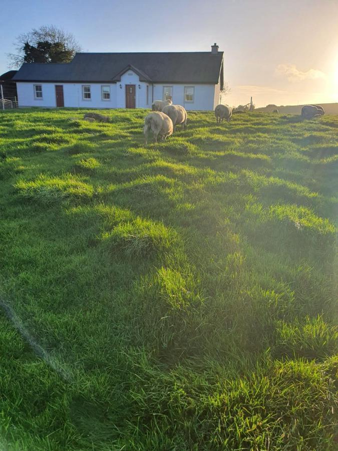 Claragh Cottage Cavan Exterior foto